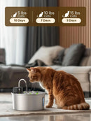 InoxFlow Smart: Fuente Inteligente para Mascotas 3L